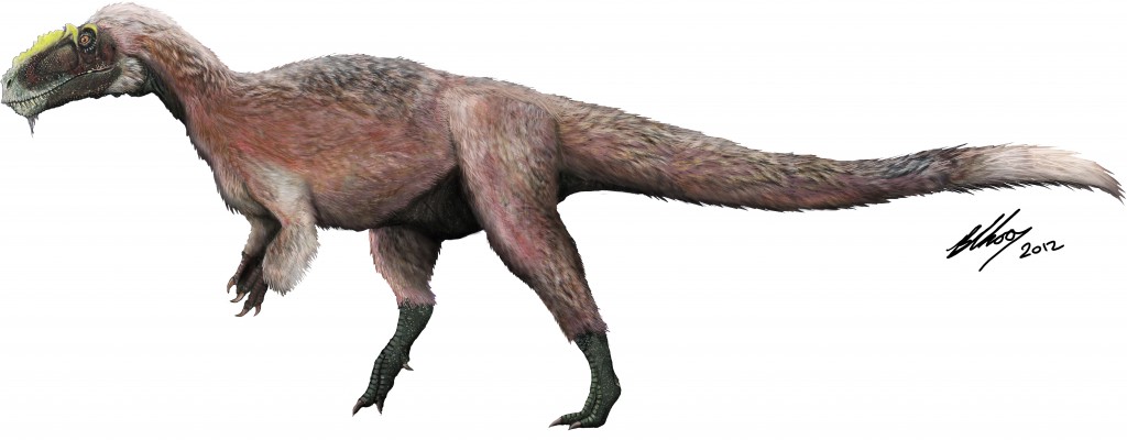 Largest feathered dinosaur