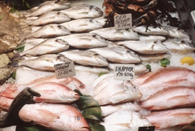 europe finds enthusiasm for fisheries reform is catching nature fish sale 283x191