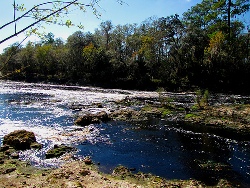 Pollution In Florida