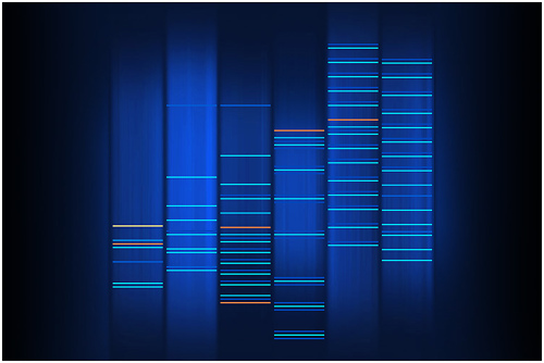 Dna Print