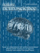 FOCUS on computation and systems neuroscience