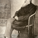 Charles Darwin (engraving from photo, ), Wikimedia Commons.
