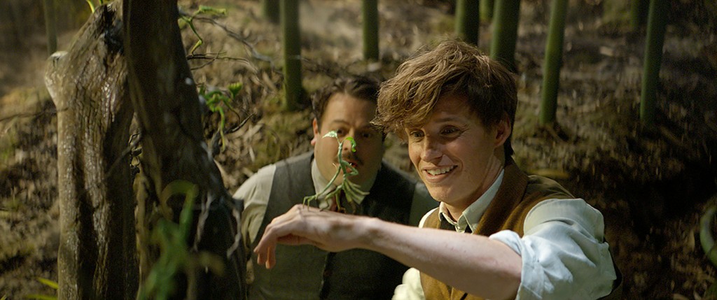 Dan Fogler as Jacob, Eddie Redmayne as Newt Scamander and a beast called a Bowtruckle in Warner Bros. Pictures' fantasy adventure Fantastic Beasts and Where to Find Them.