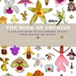 Orchids: the success of beautiful cheats
