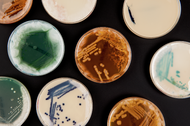 Superbugs: fighting the flood of antimicrobial resistance