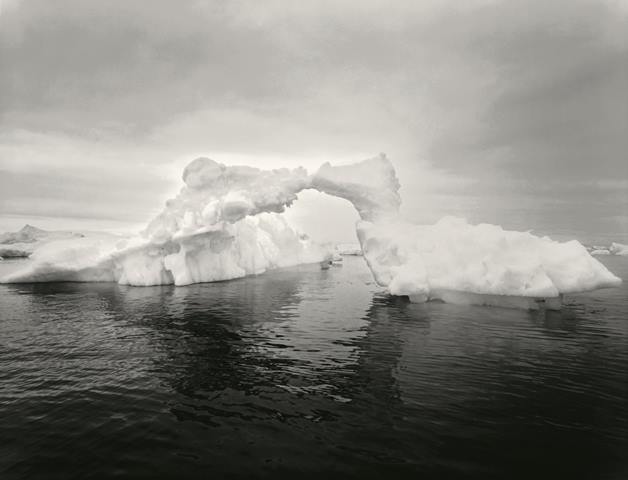 Last Diamonds: portraits of icebergs