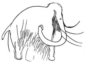Woolly mammoth hemoglobin brought to life: From the archives (2010)