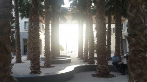 Students and faculty moved into the new permanent campus on Saadiyat island in 2014
