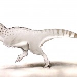 Chenanisaurus barbaricus  comes from the end of the dinosaurs' reign.