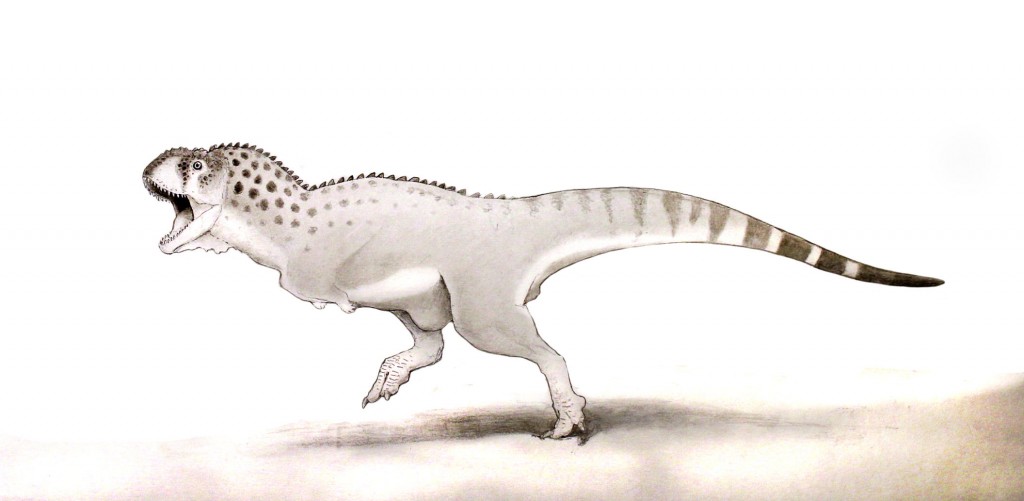 Chenanisaurus barbaricus comes from the end of the dinosaurs' reign.
