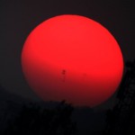 Sunspot event regales astronomers