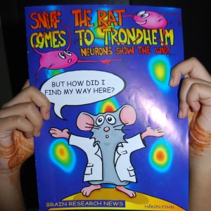 The Mosers lab has made comics like these to explain complex brain operations to children.