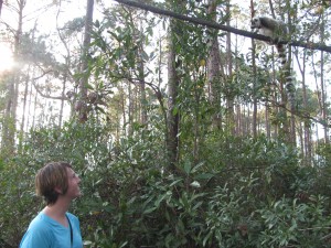 Monika Mogilewski and a ringtailed lemur in the forested enclosure at the Myakka City Lemur Reserve