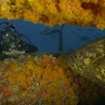 Under pressure: Being an underwater scientist