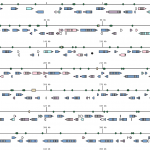 Genome editing meets version control