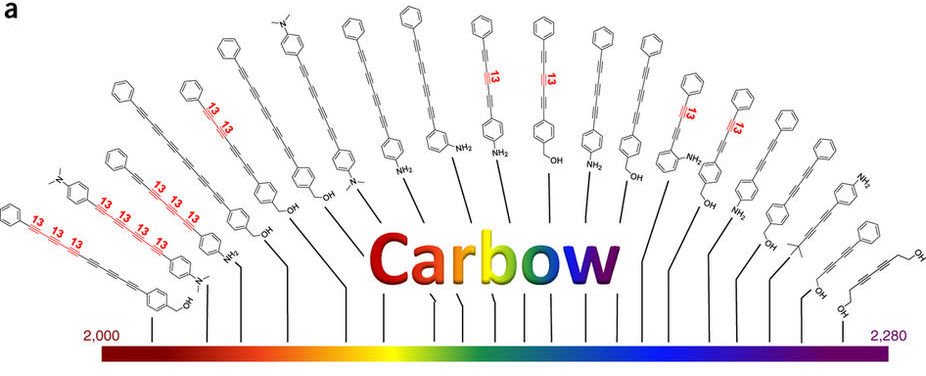 TechBlog: 'Carbon rainbow' enables highly multiplexed microscopy