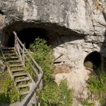 Complete Denisovan genome offers glimpse of ancient variation