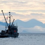 Scientists call for no-fishing zone in Arctic waters