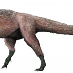 Yutyrannus was nine metres long