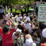 Anti-GM protesters at the Rothamsted agricultural research station.