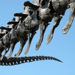 The tale of the tail: measuring dinosaurs is tough when bones are missing