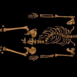 Archaeologists unearth Richard III