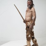 A reconstruction of Ötzi the Iceman