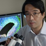 Yoshiki Sasai was a top stem cell researcher