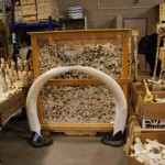 Ban all ivory sales for 10 years, says conservationist