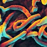 Spanish Ebola case highlights risks to health-care workers