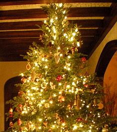 300px-Christmas_Tree.JPG