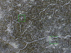 416908main_phoenix20100111-b-226.jpg