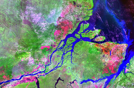 800px-Mouths_of_amazon_geocover_1990.png