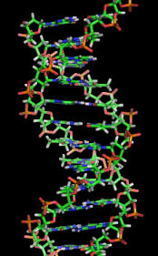 DNA_orbit_animated_static_thumbSM.png
