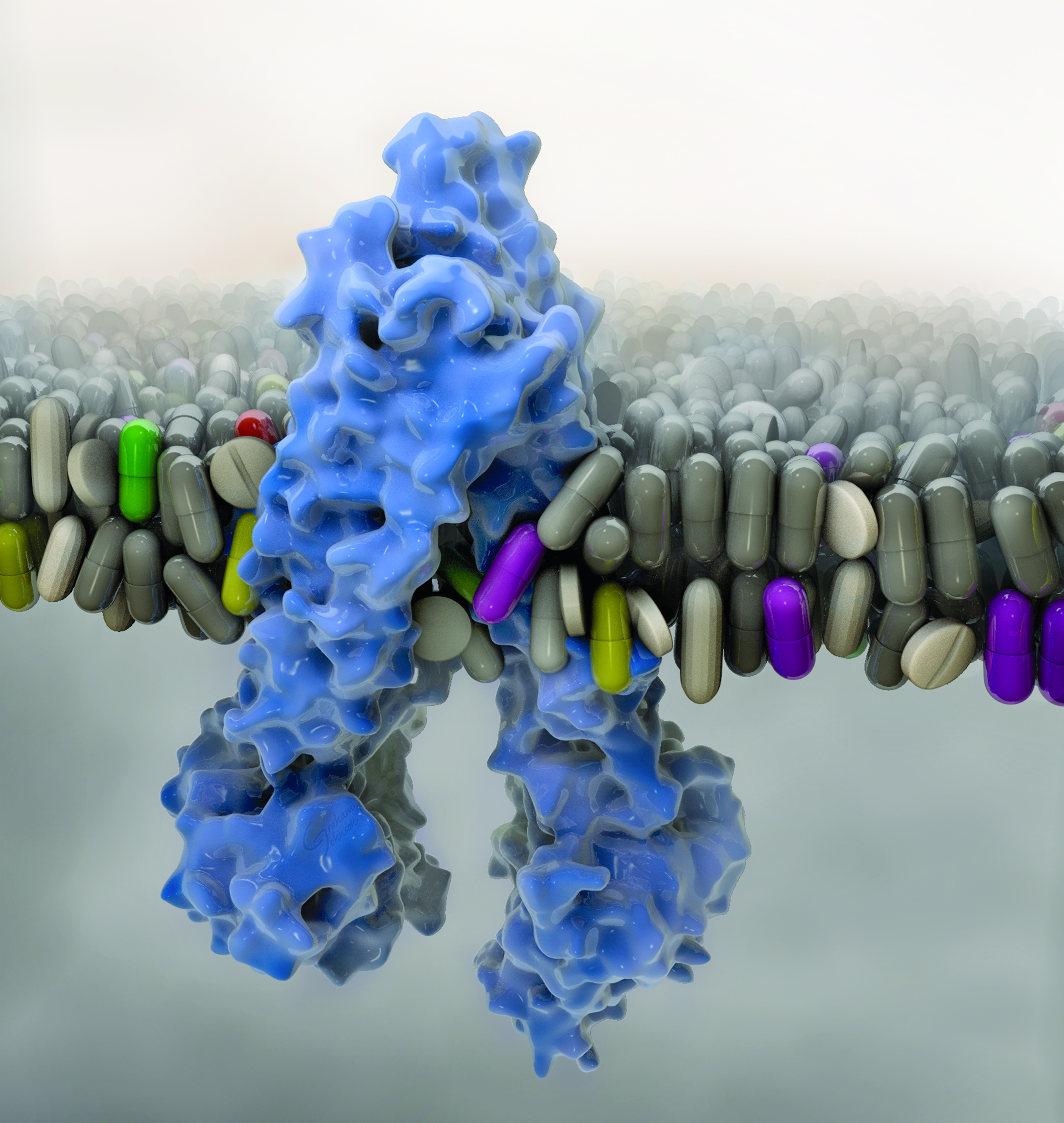 GrahamWardCoverMB6_Bilayer12.jpg