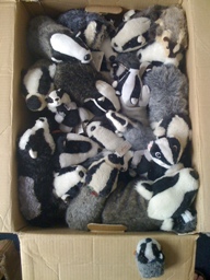 box of badgers.jpg