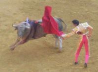 bullfight.jpg