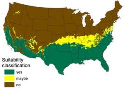 map_2100_projection_tn.jpg