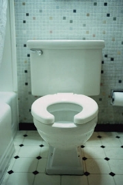 toilet CORBIS.JPG