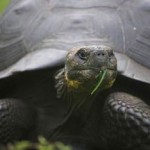 Best of Nature Network, NPG staff blogs and Scitable: 10 – 13 January