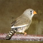 Best of Nature Network, nature.com blogs and Scitable: 11 – 17 February