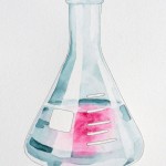 Lenses on Biology: An Artist's Angle – essay from an Undergraduate - Synthetic Biology