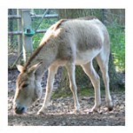 The Friday Quiz - 24th May