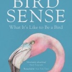 Alice's Analysis: Bird Sense by Tim Birkhead