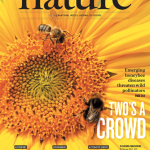 Emerging honeybee diseases threaten wild pollinators.