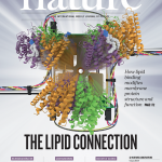 How lipid binding modifies membrane protein structure and function.