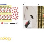 Our pick of graphene papers from 2017