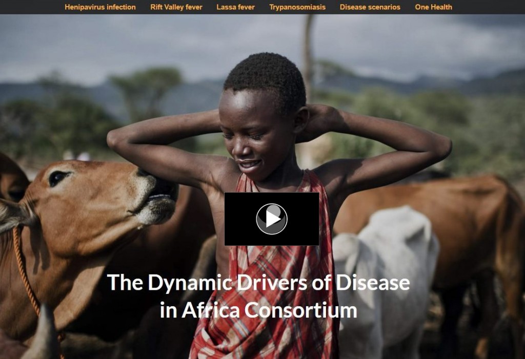 Dynamic Drivers of Disease