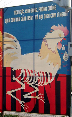 Birdflu.jpg