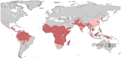 malariamap01.jpg